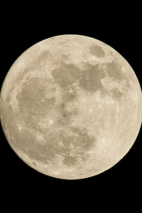 Artemis 1